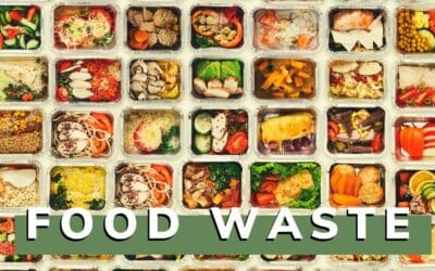 Why Food Waste in the U.S. Is an Urgent Problem